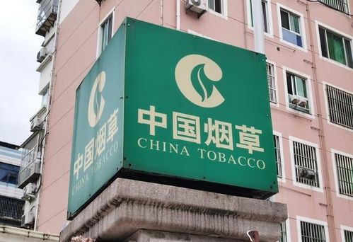 新疆煙草局校招開啟 擴招名額，高中起點，專業不限，軟件開發崗位吸引貴州學子